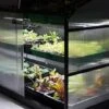 Sprout S14 - Climate Controlled Mini Greenhouse -PlantHub Shop S14dark