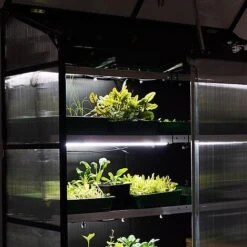 Sprout S24 - Climate Controlled Mini Greenhouse -PlantHub Shop S24lightshelves