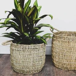 Seagrass Lined Basket Natural Set Of 2 -PlantHub Shop SBNS2 1