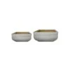 Square Bonsai Planter Cream Set Of 2