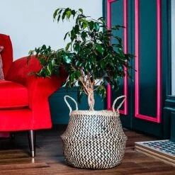 Seagrass Chevron Black Lined Basket Small H25Cm D30Cm 7 Seagrass Chevron Black Lined Basket Small H25Cm D30Cm -PlantHub Shop SCBB30 2