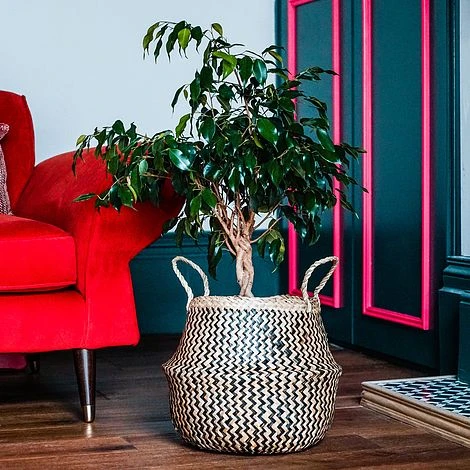 Seagrass Chevron Black Lined Basket Small H25Cm D30Cm 5 Seagrass Chevron Black Lined Basket Small H25Cm D30Cm - Image 3