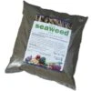 Seaweed Meal 1 Seaweed Meal -PlantHub Shop SEAW KC38041