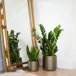 Solis Embossed Planter Gold H18CM D18CM -PlantHub Shop SEPG18 1