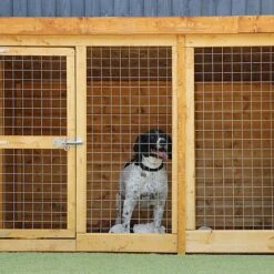 Waltons 10' X 4' Dog Run And Kennel -PlantHub Shop SI 010 001 0003 300dpi 2