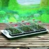 Big 3 Electric Propagator 1 Big 3 Electric Propagator -PlantHub Shop SUGAR8445
