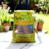RHS SylvaGrow Multipurpose Compost With Added John Innes 1 RHS SylvaGrow Multipurpose Compost With Added John Innes -PlantHub Shop SYL KC37891