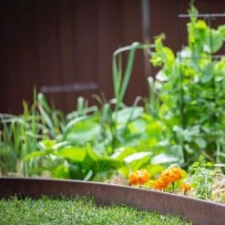 Straightcurve Flex - Garden Edging 100mm Bundle Of 10 Weathering Steel -PlantHub Shop Straightcurve Flex Garden Edging Flexline 100 2