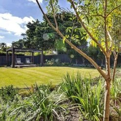 Straightcurve Flex - Garden Edging 75mm Bundle Of 10 Weathering Steel 13 Straightcurve Flex - Garden Edging 75mm Bundle Of 10 Weathering Steel -PlantHub Shop Straightcurve Flex Garden Edging Flexline 75 2 1