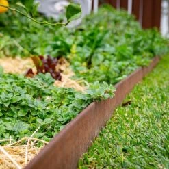 Straightcurve Rigid - Garden Edging 100mm Bundle Of 10 Weathering Steel 10 Straightcurve Rigid - Garden Edging 100mm Bundle Of 10 Weathering Steel -PlantHub Shop Straightcurve Rigid Garden Edging Rigidline 100 1 1