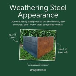 Straightcurve Zero-Flex - Garden Edging 75mm Bundle Of 6 Weathering Steel -PlantHub Shop Straightcurve TM Delivered Appearance Advice 7