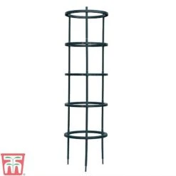 Tomato Growing Support 7 Tomato Growing Support -PlantHub Shop TOMA TKA6818P A