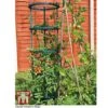 Tomato Growing Support -PlantHub Shop TOMA TKA6818P B