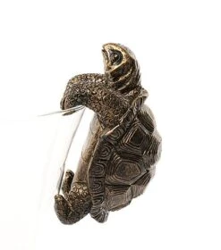 Antique Bronze Coloured Tortoise Pot Buddy - Pot Hanger -PlantHub Shop TORTOISE20 20CLEAR20POT20 20CROPPED20 20PB0018