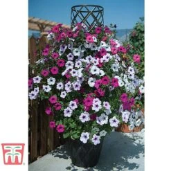 Black & Gold Tower Pot™ 9 Black & Gold Tower Pot™ -PlantHub Shop TOWE TKA8073 B1