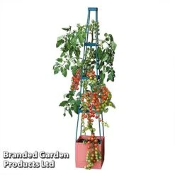 Garden Grow Self Watering Tomato Tower -PlantHub Shop TOWE TOMSELFWA T045925
