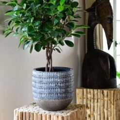 Treviso Planter Denim H20cm D21Cm -PlantHub Shop TPD21 1