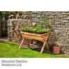 Garden Grow Large Wooden Planter -PlantHub Shop TRUG WOODLARGE L50118