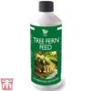 Tree Fern Feed -PlantHub Shop Tree fern