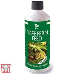 Tree Fern Feed