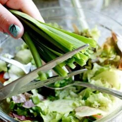 Allium 'Quattro' -PlantHub Shop VEALL35203