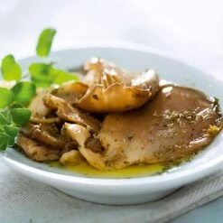 Mushroom Windowsill Kit - Oyster 7 Mushroom Windowsill Kit - Oyster -PlantHub Shop VEMUS22773