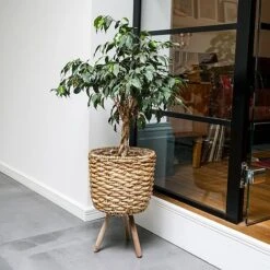 Water Hyacinth Lined Basket On Legs H45Cm D30Cm -PlantHub Shop WHBL30 1