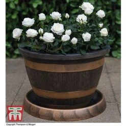 Wooden Barrel Effect Tower Pot -PlantHub Shop WOOD KB0330 E