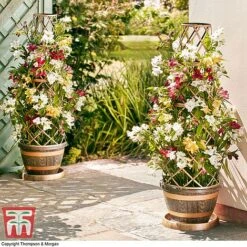 Wooden Barrel Effect Tower Pot -PlantHub Shop WOOD KB0330 G