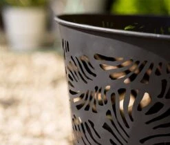 Idooka Fire Bowls -PlantHub Shop Zoom