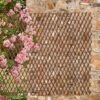 Extendable Willow Trellis - Twin Pack -PlantHub Shop a8