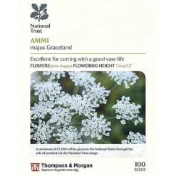 Seed Collection Tin + 10 Packets Of National Trust Seeds 8 Seed Collection Tin + 10 Packets Of National Trust Seeds -PlantHub Shop ammi majus P1