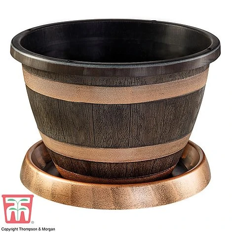 Wooden Barrel Effect Pot & Saucer 4 Wooden Barrel Effect Pot & Saucer - Image 2