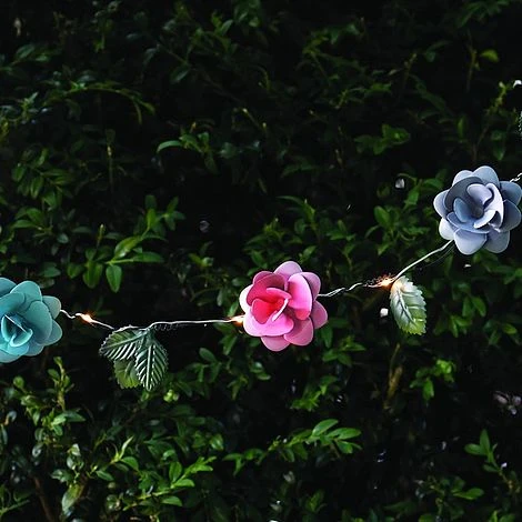 Cole & Bright Meadow Collect String Light 12 Rose (L26407) 3 Cole & Bright Meadow Collect String Light 12 Rose (L26407)