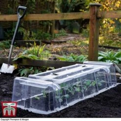 Mini Greenhouse Cloche 12 Mini Greenhouse Cloche -PlantHub Shop cloche32
