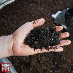 Ericaceous Compost -PlantHub Shop era