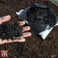 Ericaceous Compost -PlantHub Shop era2