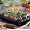 Garden Gear Heated Propagator -PlantHub Shop heat prop1