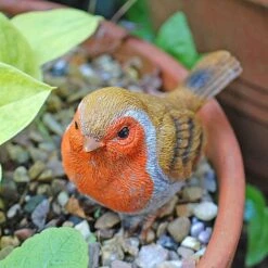 3 Pot Topping Robin Bird Garden Ornaments -PlantHub Shop il 1140xN.2350364235 pirr