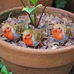 3 Pot Topping Robin Bird Garden Ornaments -PlantHub Shop il 1140xN.2350364267 h6q9