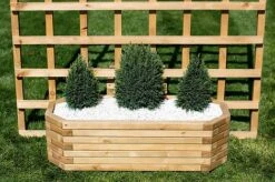 Large 110cm Long Octagonal Wooden Planter -PlantHub Shop il 794xN.2804803973 jedv