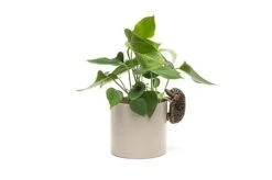 Antique Bronze Coloured Hedgehog Pot Buddy - Pot Hanger -PlantHub Shop j220118 0112