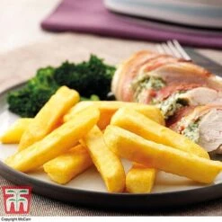 Potato 'T&M All Year Round Collection' 20 Potato 'T&M All Year Round Collection' -PlantHub Shop mcprem2