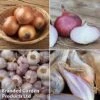 Onion, Shallot & Garlic Saver Pack -PlantHub Shop onion coll