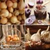Grow Your Own Onion & Garlic Collection 1 Grow Your Own Onion & Garlic Collection -PlantHub Shop onion2