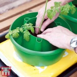 Plant Halos -PlantHub Shop plant halo2