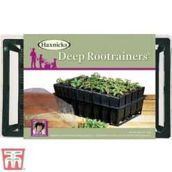 Deep Root Trainers -PlantHub Shop root3
