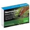 Slug Nematodes Treat Nemaslug 100 Sqm 1 Slug Nematodes Treat Nemaslug 100 Sqm -PlantHub Shop slug nematodes large