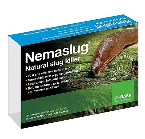 Slug Nematodes Treat Nemaslug 100 Sqm 3 Slug Nematodes Treat Nemaslug 100 Sqm