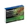 Slug Nematodes Treat Nemaslug 40 Sqm -PlantHub Shop slug nematodes small